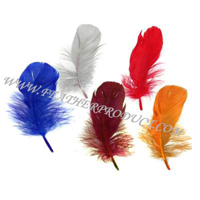 Goose Feather Trim White Goose Nagoire and Satinettes Feather Trim